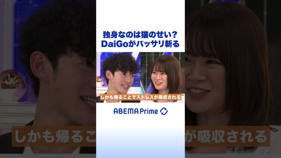 独身なのは猫のせい?DaiGoがバッサリ斬る #アベプラ #shorts