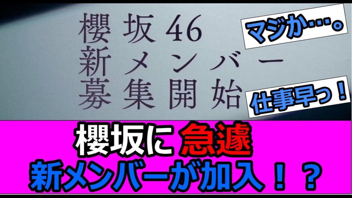 櫻坂に新メンバー加入!?【櫻坂NEWS】