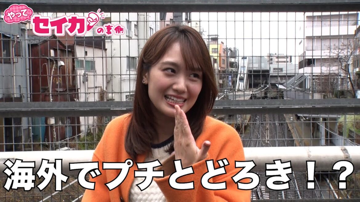 ちょっと嬉しかったセイカの休暇【セイカの裏側65】