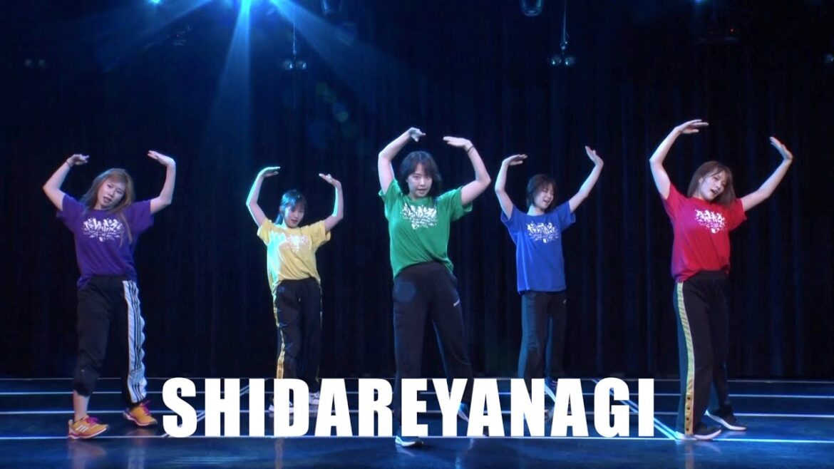 シダレヤナギ/だんさぶる! (SHIDAREYANAGI/danceable)
