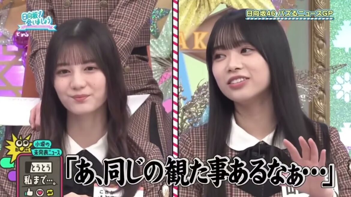 【日向坂で会いましょう】小坂菜緒を連れ込んだ山口陽世