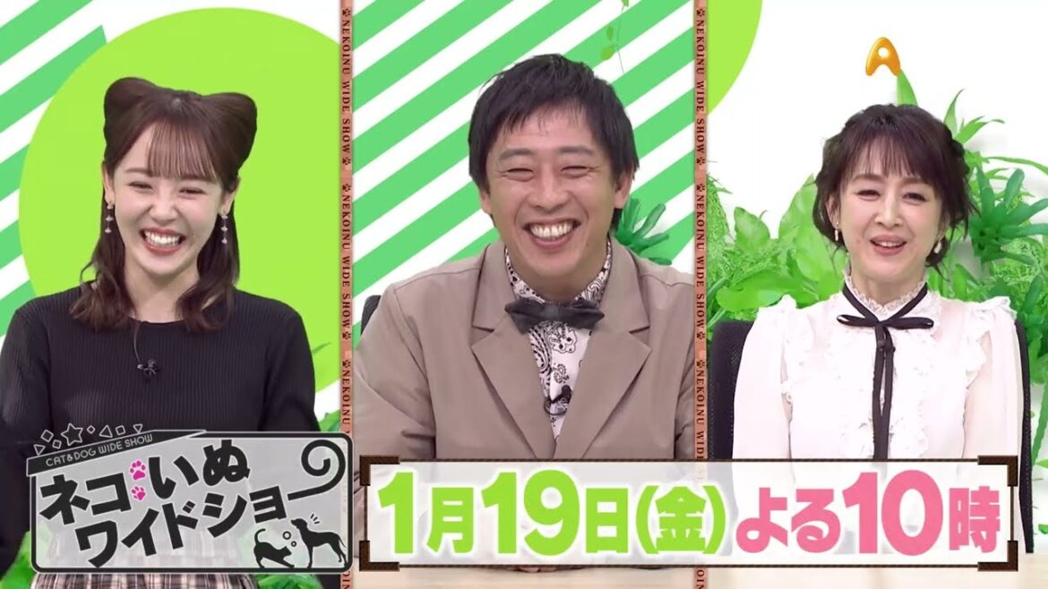 ゲスト:相田翔子【ネコいぬワイドショー】
