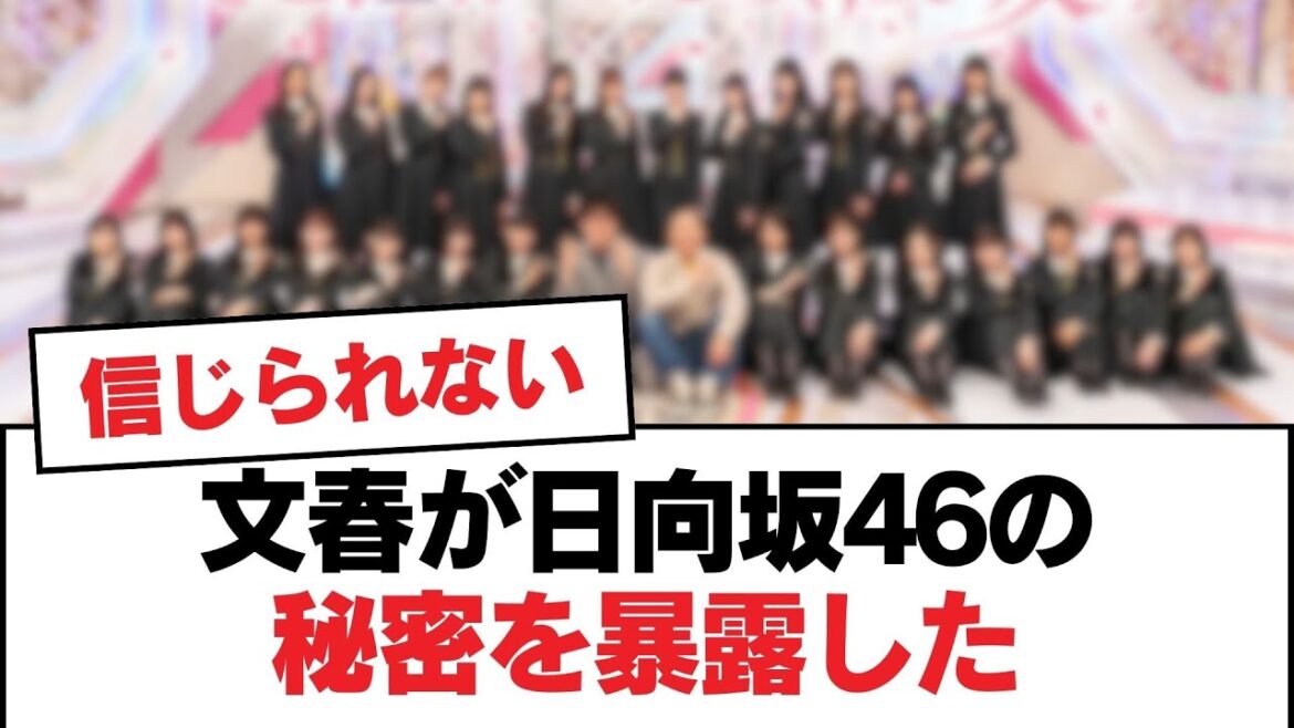【日向坂46】文春が日向坂46の秘密を暴露した【日向坂・日向坂で会いましょう】