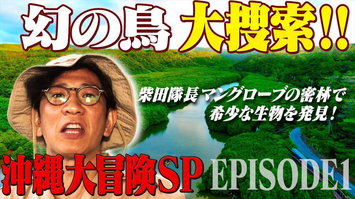 【ヤンバルクイナ大捜索16時間ロケ完全版①】柴田隊長!沖縄大冒険SPその①
