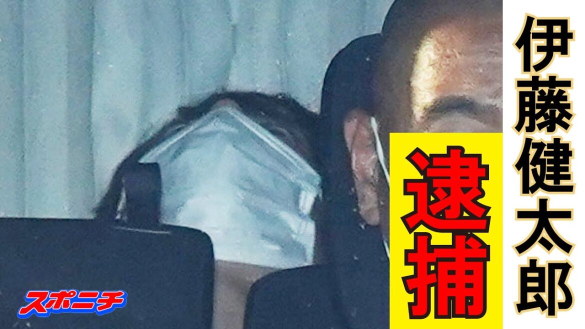 伊藤健太郎容疑者を逮捕 ひき逃げの疑い 女性が足の骨を折る重傷
