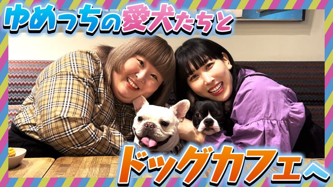 【犬】ゆめっちの愛犬たちと待望のドッグカフェへ