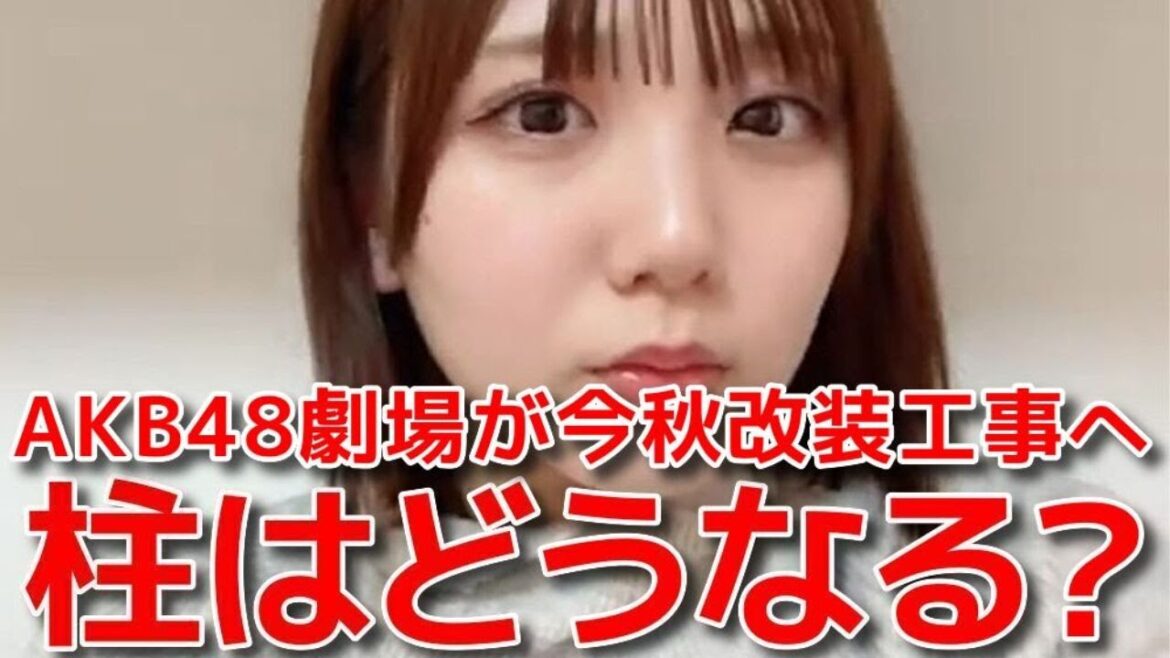 【田口愛佳】 AKB48劇場改装に伴う柱問題について力説する 【AKB48】