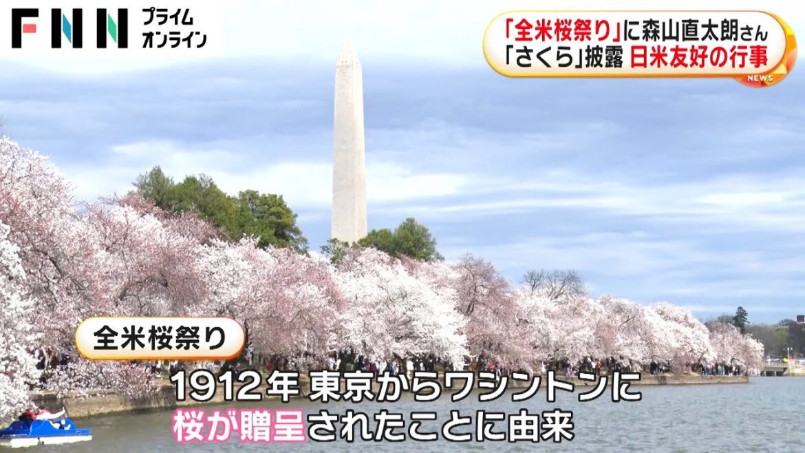 ワシントンで「さくら、さくら…」桜が見頃迎え「全米桜祭り」開会 森山直太朗さんが熱唱
