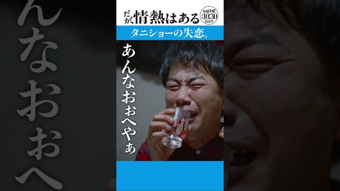 「タニショーの失恋」#だが情熱はある #髙橋海人 #戸塚純貴 #藤井隆 #shorts