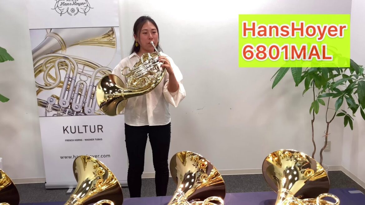 HansHoyer 6801MAL