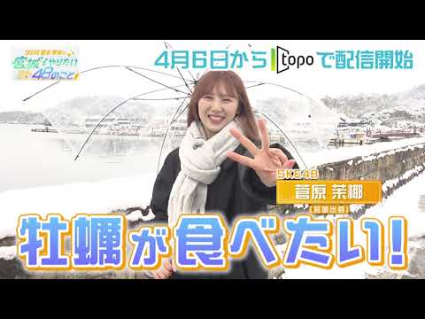 【4/6(土)topoで配信開始】SKE48 菅原茉椰の宮城でやりたい48のこと【見どころ】