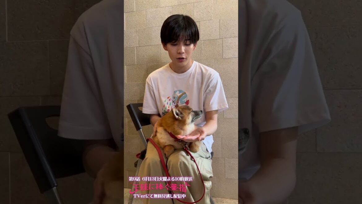 👦🏻陸とネギの親睦会④🐶…塩対応なネギ🐾 #長尾謙杜 #王様に捧ぐ薬指【過去回はパラビで配信中】