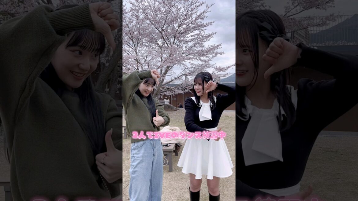ガルプラ出身のまんちゃんと元アイドルなぎさのダンスが可愛すぎる!| #花束オオカミ #shorts