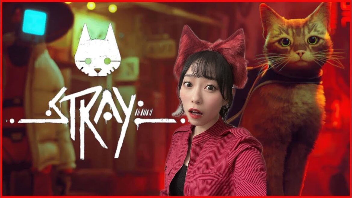 【STRAY】私の方がねこ【あんちゅ/石塚朱莉】