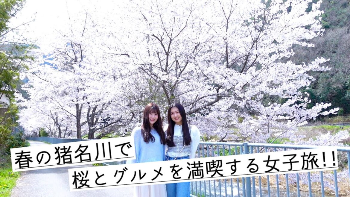 【お花見vlog】猪名川町を知ってもらおう大作戦!!| 桜🌸| ランチ🥗| 和菓子🍡|グランピング🏕️|