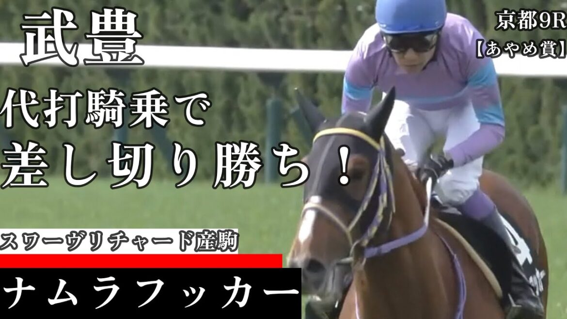 【今日競馬】代打騎乗で見事な差し切り!武豊騎乗の《ナムラフッカー》京都9R あやめ賞 2024/04/20