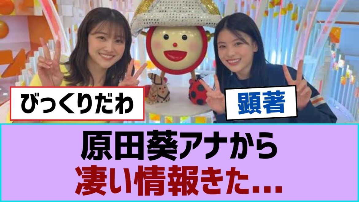 【櫻坂46】原田葵アナから凄い情報きた…【そこ曲がったら櫻坂・櫻坂46】
