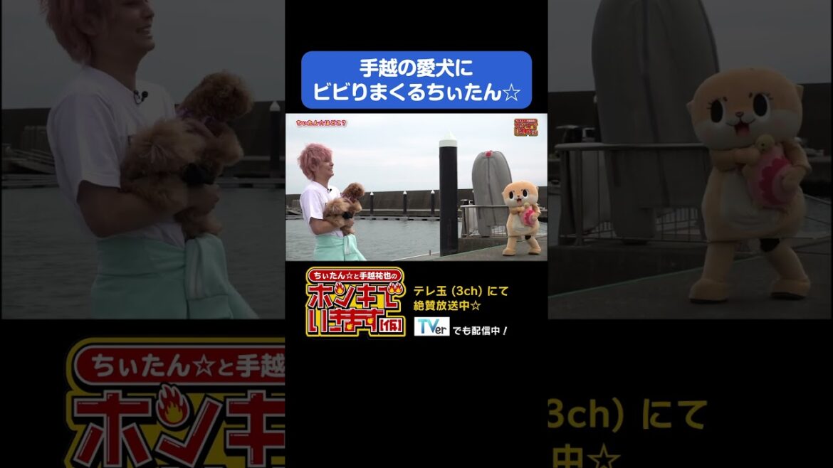 番組を乗っ取られかけました…#shorts #手越祐也