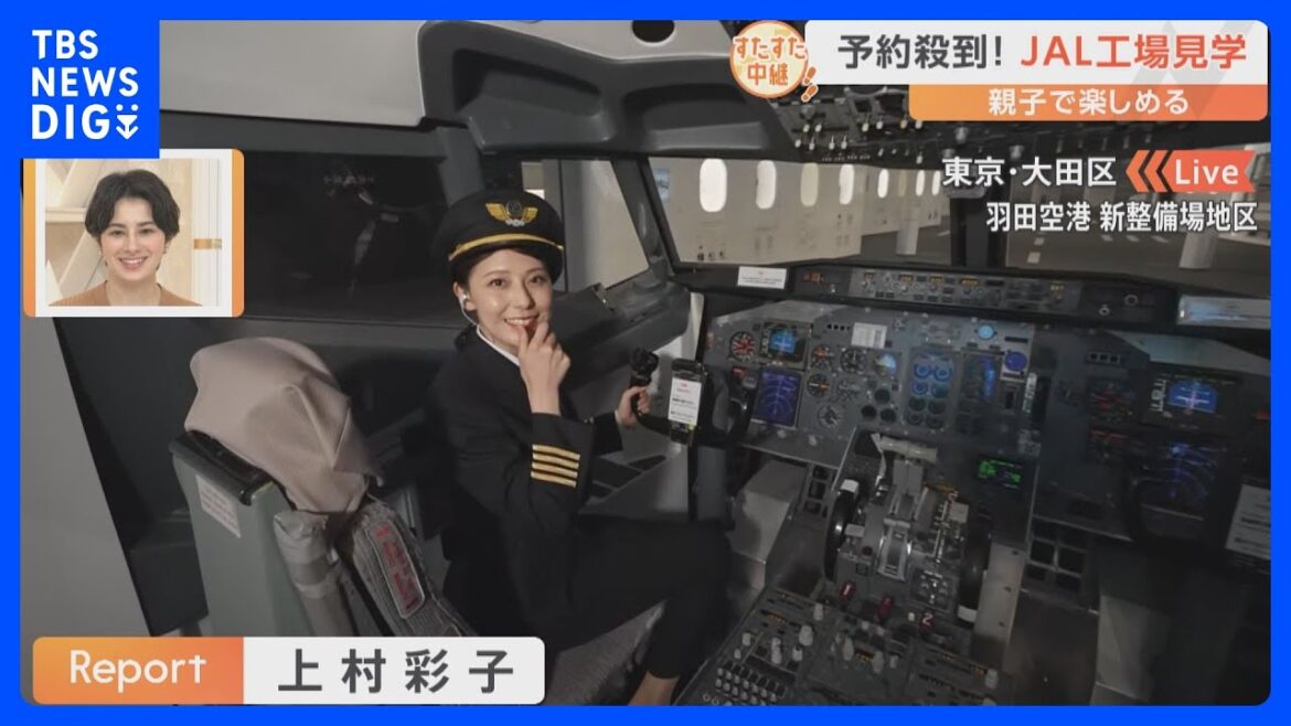 大人気ツアー「JALスカイミュージアム」コックピットでパイロット気分&制服体験で客室乗務員に 格納庫見学は迫力満点!【すたすた中継】|TBS NEWS DIG