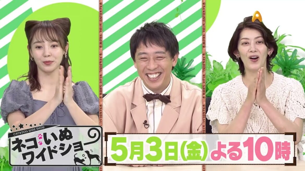 ゲスト:佐藤藍子【ネコいぬワイドショー】