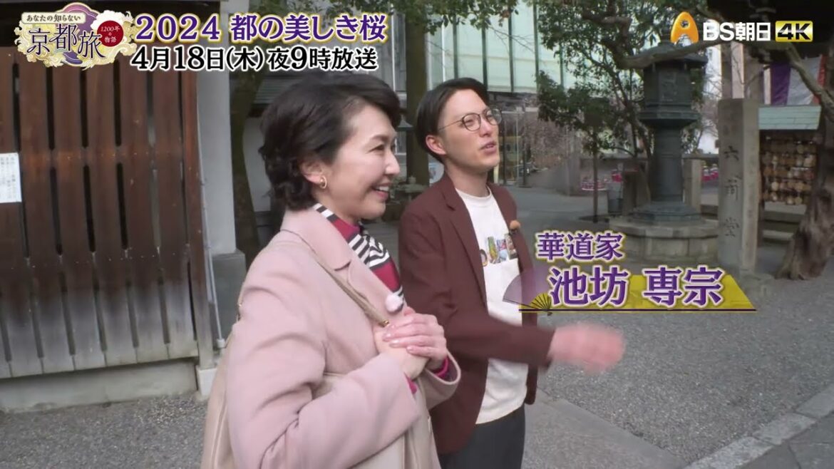 2024 都の美しき桜【あなたの知らない京都旅 ~1200年の物語~】
