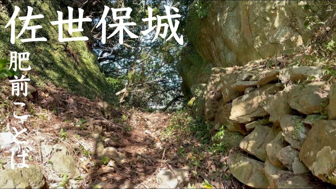 【肥前ことば】佐世保城(肥前国)【佐世保氏(相神浦松浦家)の居城】