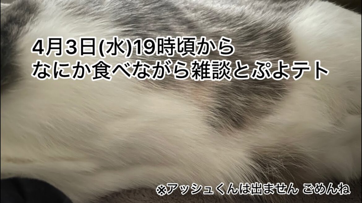 【第19回生配信】なにか食べながら雑談とぷよテト【佐々木琴子】