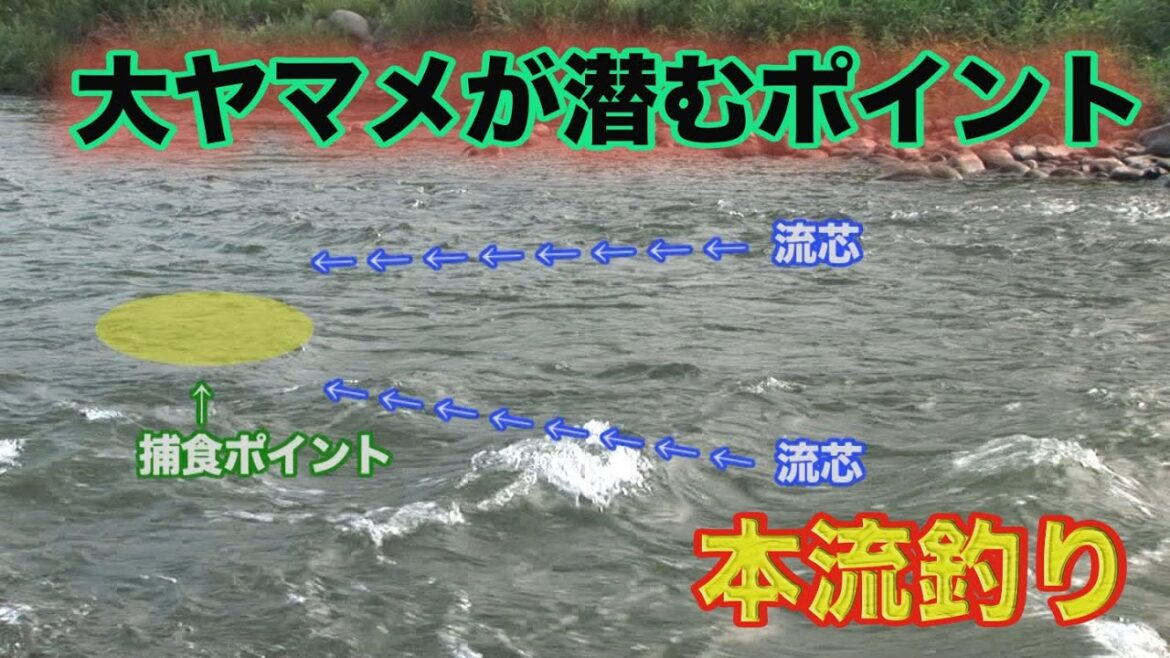 井上聡 大ヤマメが潜むポイント Satoshi Inoue Fishing a large yamame
