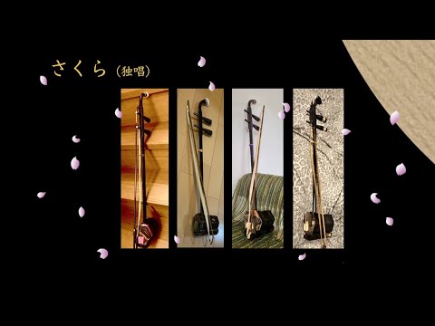 さくら(独唱)二胡独奏リレー 万華響rimo.第8弾