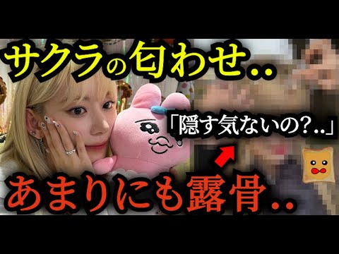 サクラの匂わせが「さすがに露骨すぎる」と話題に..【LE SSERAFIM】