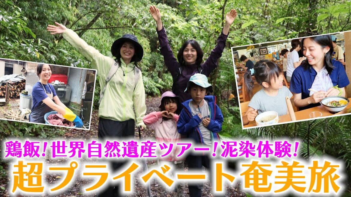 【東洋のガラパゴス】最高の大自然を満喫!奄美大島旅!リイナ家族と行ってきました後編