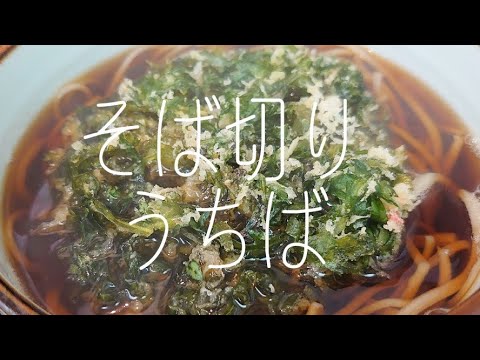 青物横丁) 日本の伝統スタイル 佐藤栞里推しの立ち食いそば巡り