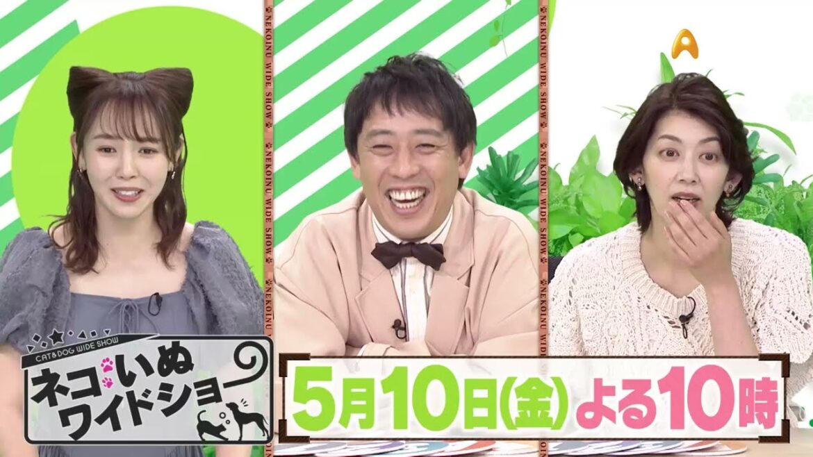 ゲスト:佐藤藍子【ネコいぬワイドショー】
