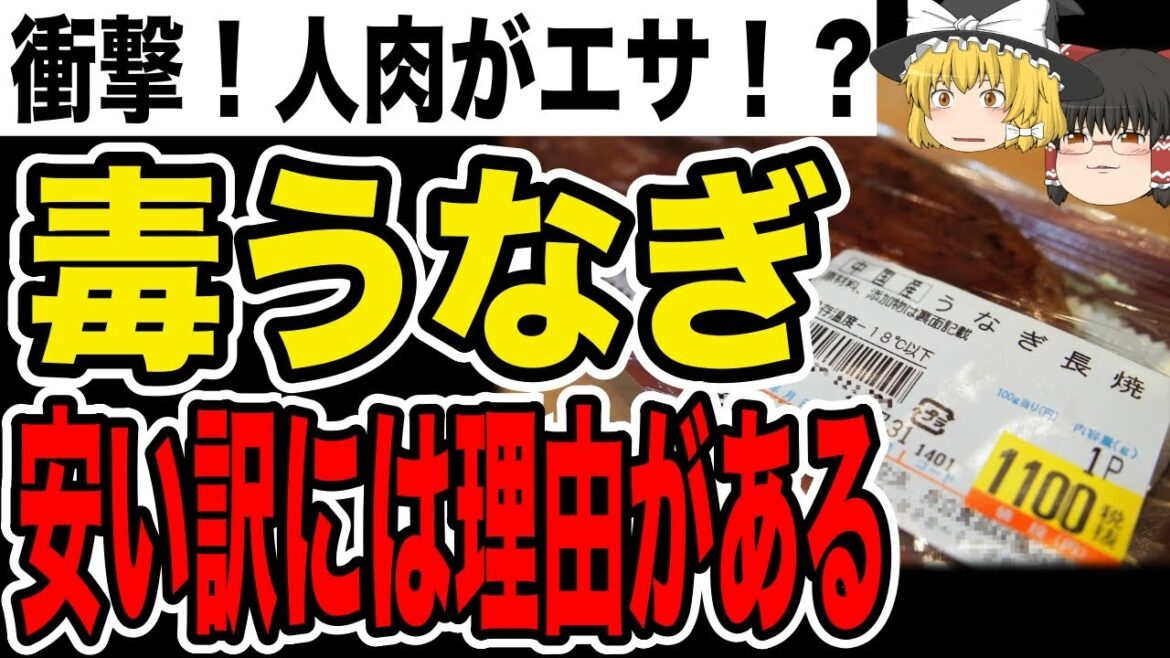 【ゆっくり解説】恐怖の中国産うなぎの養殖方法!まさかの人の○○がエサ!?