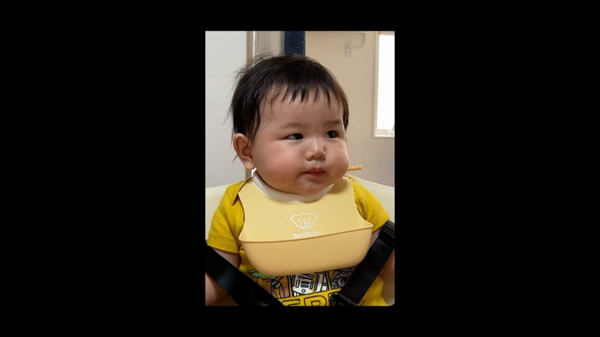 ほっぺをめくったら睨まれちゃったごめんね😂/Baby Stared when Mom Lifted His Chubby Cheeks #Shorts