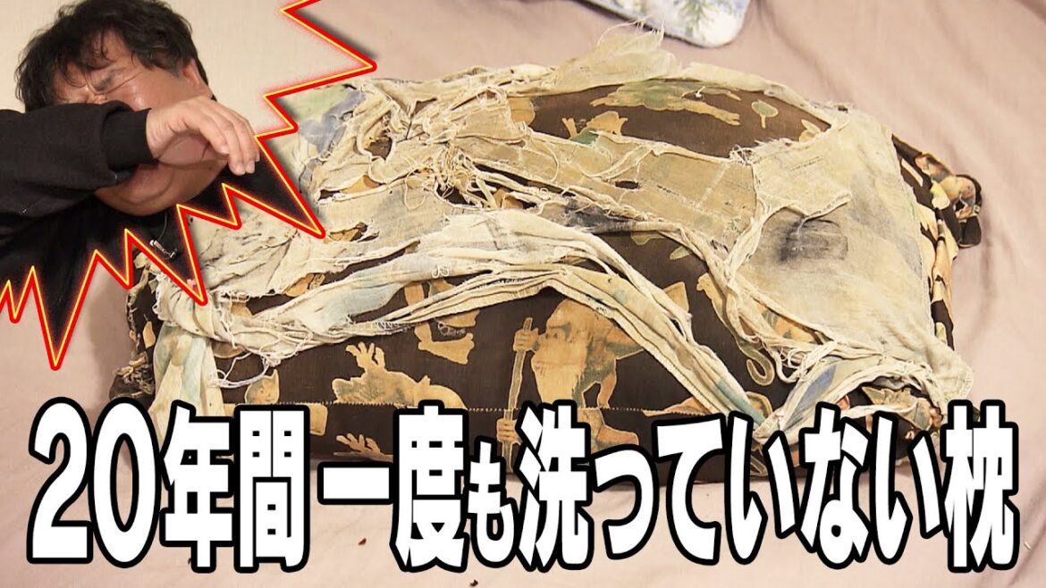 【探偵!ナイトスクープ】結婚したら捨てると約束したのに…20年間洗っていない夫の枕 ナイトinナイト