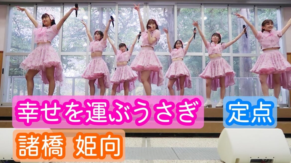 【ライブ映像】諸橋姫向「幸せを運ぶうさぎ」定点