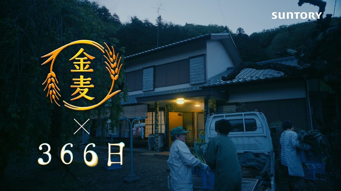 「サントリー金麦」×「366日」 第7話コラボCM #PR