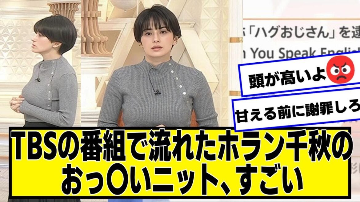 TBSの番組で流れたホラン千秋のニット、すごい【ネットの反応】#美女bra #ホラン千秋 #ハゲおじさん