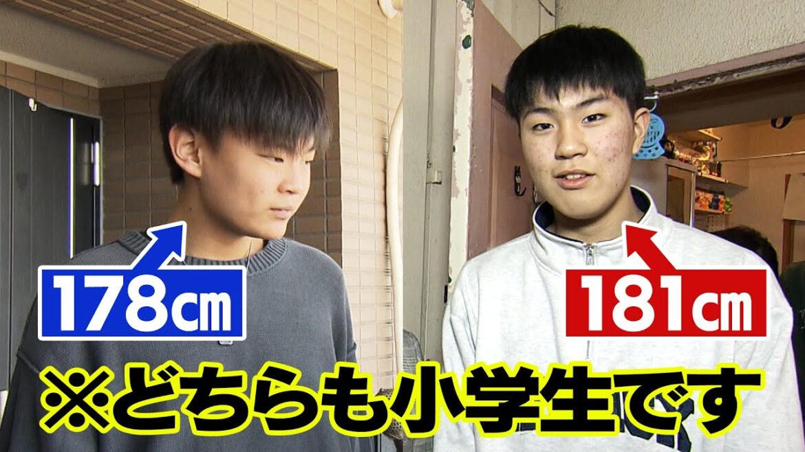 【探偵!ナイトスクープ】身長178cmの小6男子 背の高い小学生に会いたい ナイトinナイト