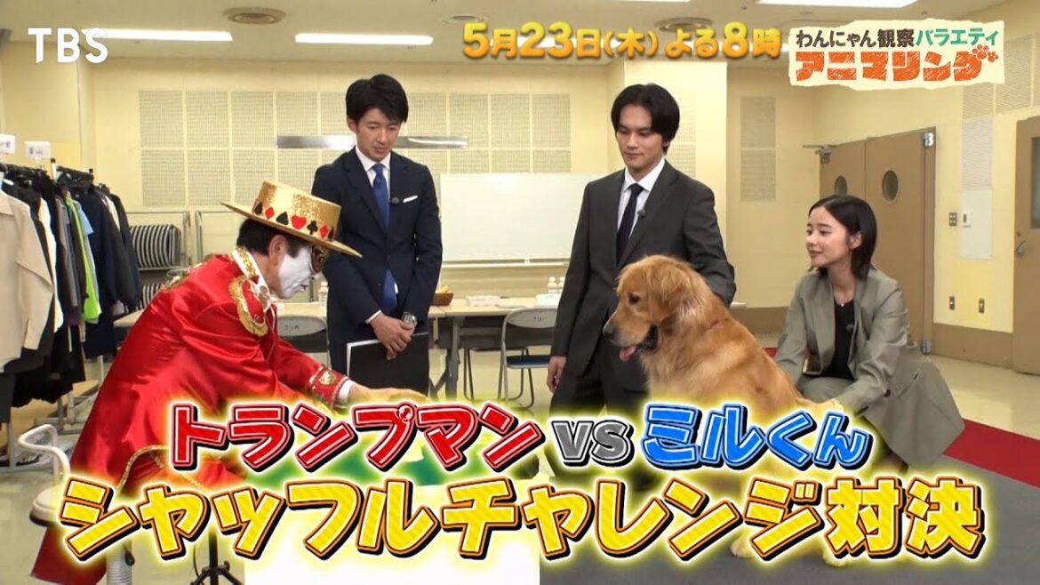「アンチヒーロー」天才犬vsトランプマン…手品見破れるか!?『アニマリング』5/23(木)【TBS】