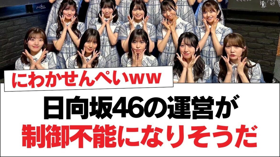 日向坂46の運営が制御不能になりそうだ⚪︎正源司陽子は何故、人気があるのか【日向坂・日向坂で会いましょう】