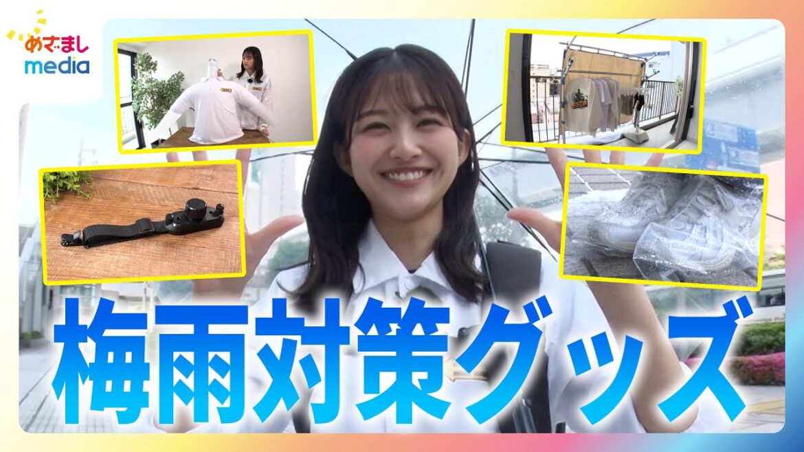 原田葵アナがスリコやダイソーの新商品など梅雨に役立つ便利グッズを徹底調査!【ココ調】