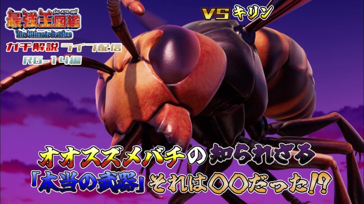 SOTA Mのラジオ配信VOL.76【RG-14解説放送、そして次回はまさかの”あの対決”!?】