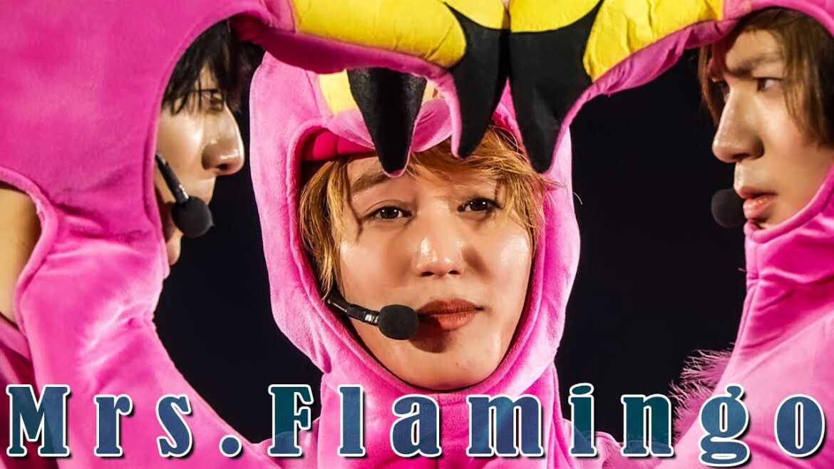 HiHi Jets「Mrs.Flamingo」(Arena Tour 2024 BINGO)