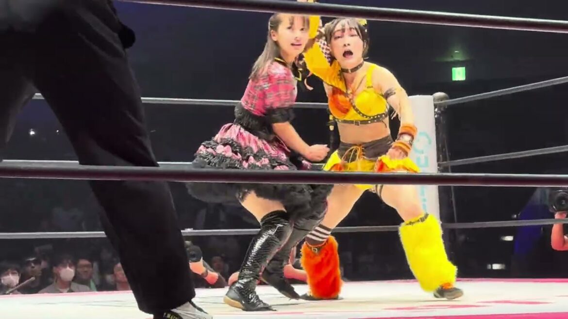 HIMAWARIのロープワークに対して湯本亜美が側転から不思議な動きで惑わすとコーナーを使った動きでHIMAWARIを投げる 東京女子プロレス「GRAND PRINCESS ’24」