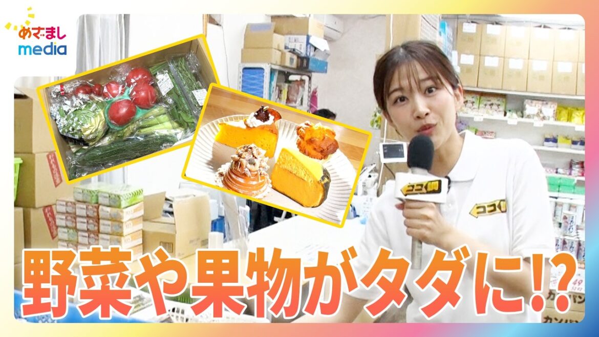 原田葵アナがお得な食材購入テクニックを徹底調査!野菜や果物がタダでもらえる!?水やレトルト食品が0円で手に入るお店も紹介【ココ調】