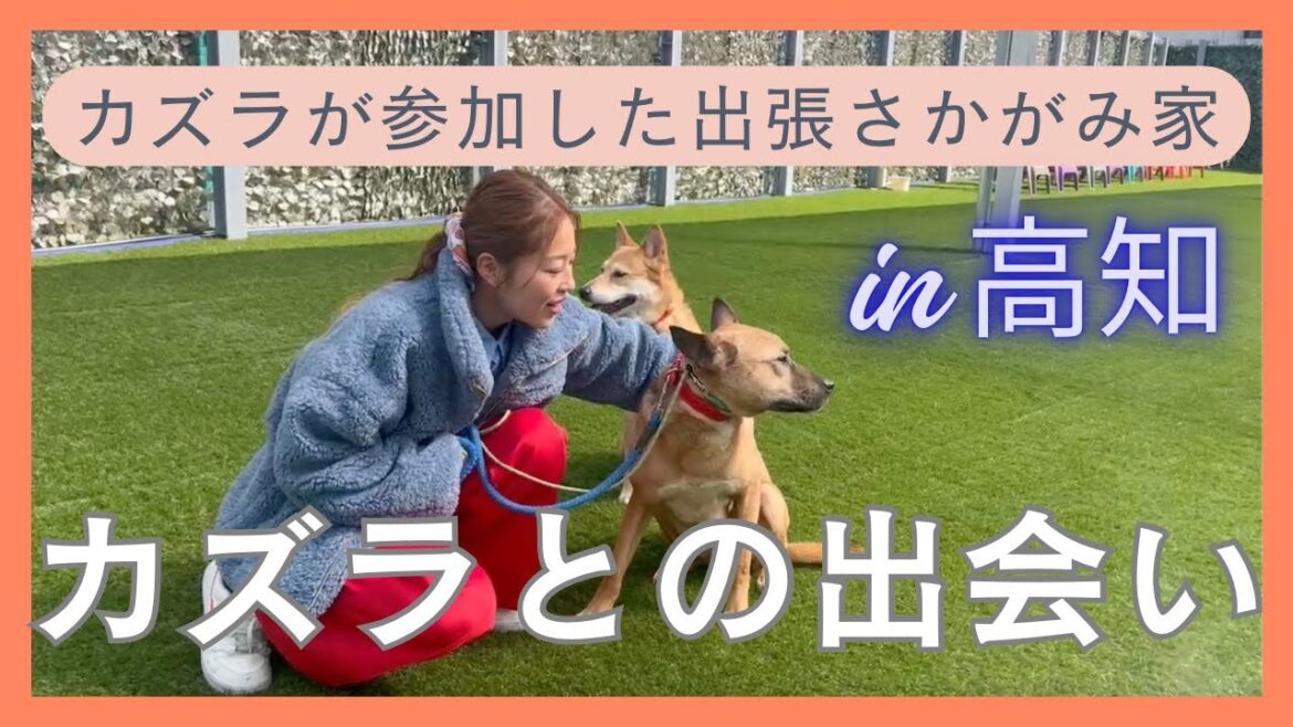 【in高知】古山が桑原の実家に泊まりに来た夜