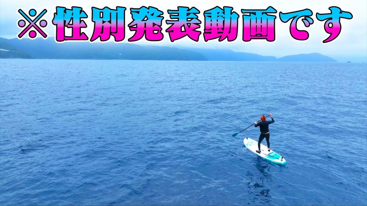 無人島からサップで脱出できたら我が子の性別が判明!!!するはずだった。