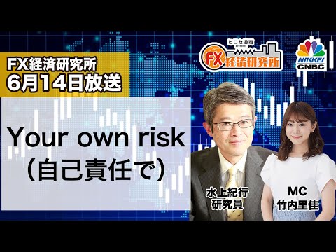 6月14日放送 『FX経済研究所』(Your own risk「自己責任で」)日経CNBC